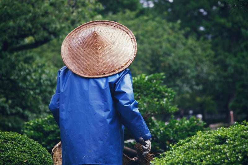 Samurai Experience in Japan